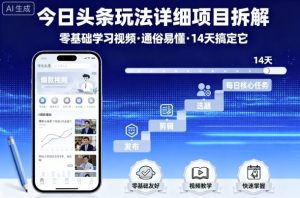 今日头条玩法详细项目拆解,零基础学习视频 通俗易懂 14天搞定它-最全资源库