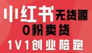 小红书无货源0粉电商课,开店准备、选品策略、笔记撰写、视频剪辑、数据分析、账号打造、资料文档-最全资源库