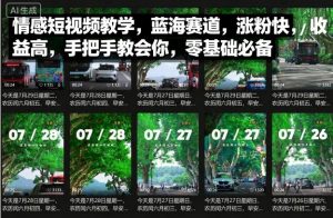 情感短视频教学，蓝海赛道，涨粉快，收益高，手把手教会你，零基础必备-最全资源库