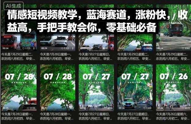 情感短视频教学，蓝海赛道，涨粉快，收益高，手把手教会你，零基础必备-最全资源库