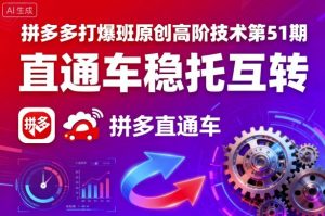 拼多多打爆班原创高阶技术第51期，直通车稳托互转-最全资源库