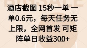 酒店截图项目,15秒一单,一单0.6米,每天任务无上限,全网首发可矩阵单日收益3张+【揭秘】-最全资源库