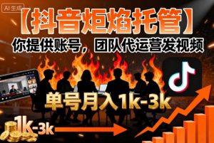 【抖音炬焰托管】你提供账号，团队代运营发视频，单号月入1k+【揭秘】-最全资源库