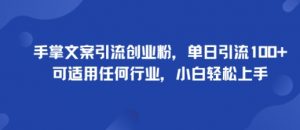 手掌文案引流创业粉,单日引流100+,可适用任何行业,小白轻松上手-最全资源库