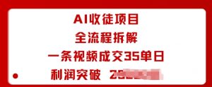 AI收徒项目全流程拆解一条视频成交35单日利润突破1k+-最全资源库