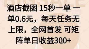 酒店截图15秒一单,一单0.6米,每天任务无上限,全网首发可矩阵单日收益3张【揭秘】-最全资源库