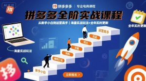 拼多多全阶实战课程，从新手小白到运营高手，海量实战玩法+全年实时更新【2025年9月更新】-最全资源库