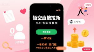 悟空直搜拉新小红书实操教学，一单10米，低门槛，0粉丝小白也能日入多张-最全资源库