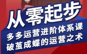 拼多多运营进阶系统课，从零起步，多多运营进阶体系课，破茧成蝶的运营之术（更新9月）-最全资源库