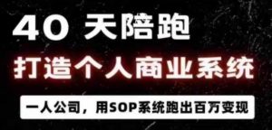 40天陪跑打造个人商业系统，一人公司，用SOP系统跑出百W变现-最全资源库