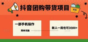 抖音团购带货项目，一部手机简单操作，一周3k+-最全资源库