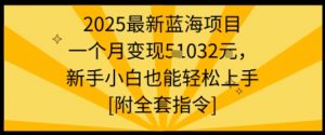 2025最新蓝海项目一个月变现1w+新手小白也能轻松上手【附全套指令】-最全资源库