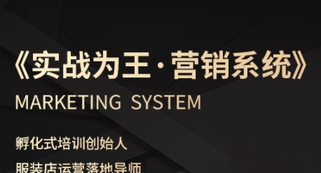 服装老板必修课《实战为王-营销系统》实现业绩被动式增长-最全资源库