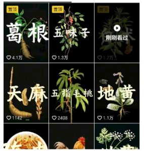 抖音中草药赛道,用AI做中草药故事视频,45条作品涨粉13W,橱窗带货猛猛出单-最全资源库