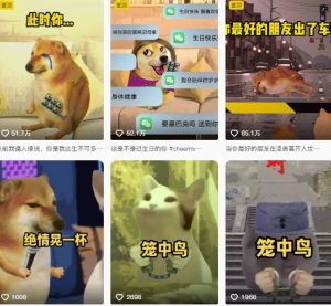狗头幸运星UE5动画全套课程,从入门到实操全掌握-最全资源库