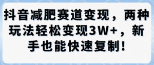 抖音减肥赛道变现，两种玩法轻松变现3W+，新手也能快速复制-最全资源库