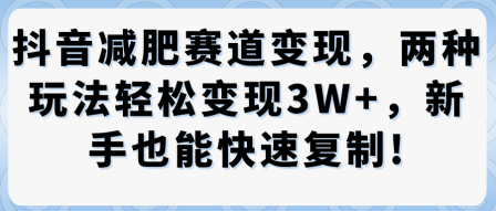 抖音减肥赛道变现，两种玩法轻松变现3W+，新手也能快速复制-最全资源库