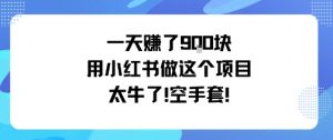 一天挣了9张用小红书做这个项目太牛了，空手套-最全资源库