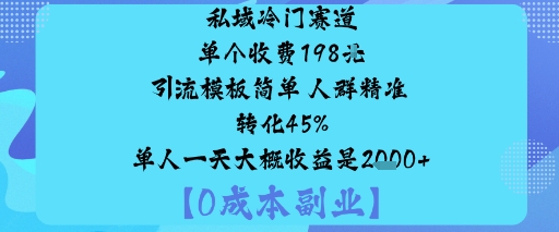 私域冷门赛道:单个收费198米引流模板简单人群精准转化45%单人一天大概收益是1k+-最全资源库