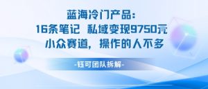 蓝海项目：16条笔记私域变现9750米小众赛道操作的人不多-最全资源库