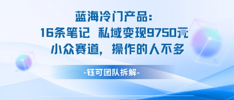 蓝海项目：16条笔记私域变现9750米小众赛道操作的人不多-最全资源库