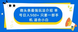 微头条最强玩法介绍一个号日入5张+只要一部手机适合小白-最全资源库