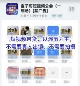 宝子哥头部团队短视频带货，以混剪为主，不需要真人出镜，不需要拍摄【更新9月】-最全资源库