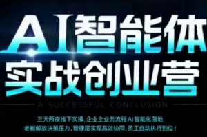 AI智能体实体战创业营(深圳9月23-25日),多维度助力老板、管理层、员工提升效能-最全资源库