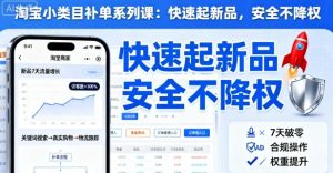 淘宝小类目补单系列课，快速起新品，安全不降权-最全资源库