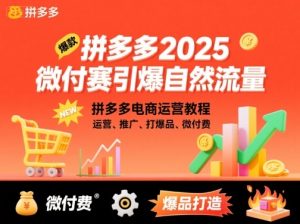 拼多多2025微付费引爆自然流量，拼多多电商运营教程，运营、推广、打爆品、微付费（更新）-最全资源库