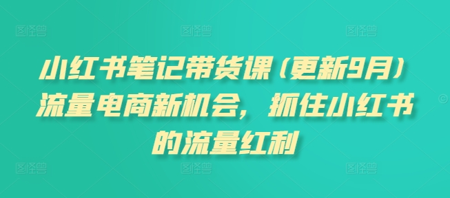 小红书笔记带货课(更新25年9月)流量电商新机会,抓住小红书的流量红利-最全资源库
