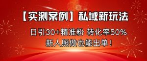 【实测案例】私域新玩法，日引30+精准粉，转化率50%，新人照做也能出单！-最全资源库