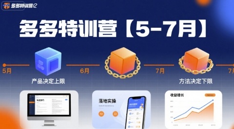 多多特训营,产品决定上限,方法决定下限,各种玩法技巧落地实操(更新)-最全资源库