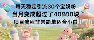 每天稳定引流30个宝妈粉当月变成超过了1W+项目流程非常简单适合小白-最全资源库