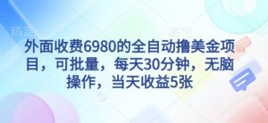 外面收费6980的全自动撸美刀项目，可批量，每天30分钟，无脑操作，当天收益5张【揭秘】-最全资源库