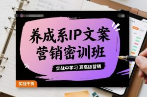 养成系IP文案营销密训班，实战中学习真高级营销-最全资源库