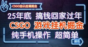 25年底搞钱回家过年,CSGO游戏挂G掘金,纯手机操作超简单【揭秘】-最全资源库