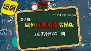麦子甜咸鱼自助卖货实操版(虚拟资源)一个会自动搞钱的机器-最全资源库