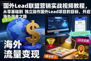国外Lead联盟营销实战视频教程,从零基础到独立操作国外Lead项目的目标,开启海外淘金之路-最全资源库