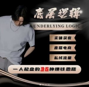 一个人起盘的底层逻辑，私域流量-直播电商-实体获客，一人起盘的36种賺钱思路-最全资源库