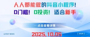 人人都能做的抖音小程序，0门槛0成本，适合新手-最全资源库
