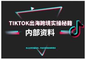 TikTok跨境电商0-1搭建运营，TK出海跨境实操秘籍（10月更新）-最全资源库