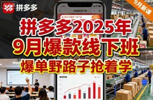 拼多多2025年9月爆款线下班，爆单野路子抢着学-最全资源库