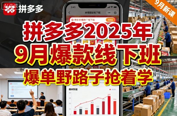 拼多多2025年9月爆款线下班，爆单野路子抢着学-最全资源库