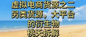 虚拟电商之二—另类的货源，大平台的衍生物-最全资源库