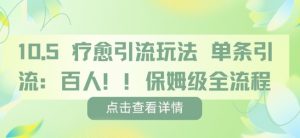 疗愈引流玩法，单条引流百人，保姆级全流程-最全资源库
