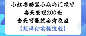 小红书暗黑小众冷门项目每天变现2张当天可能就会有收益-最全资源库