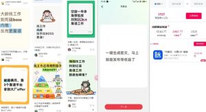 毕业生求职项目拆解_脉脉拉新空白市场,蓝海开局-最全资源库