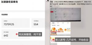 游戏加速器项目4.0_最新打法思路(爱玩游戏也能边玩边被动收益)-最全资源库