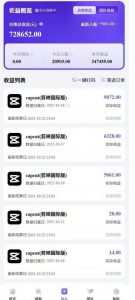 2025风口TK剪映capcut拉新项目，极限高客单，市场空白，2025下半年真正的蓝海项目-最全资源库